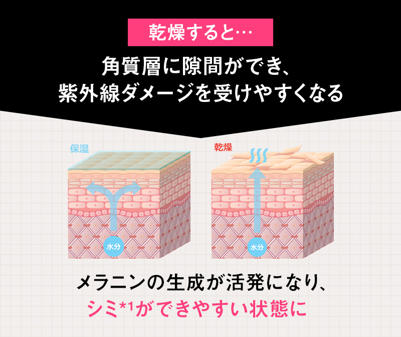 乾燥すると角質層に隙間ができ、紫外線ダメージを受けやすくなる メラニンの生成が活発になり、シミ*¹ができやすい状態に